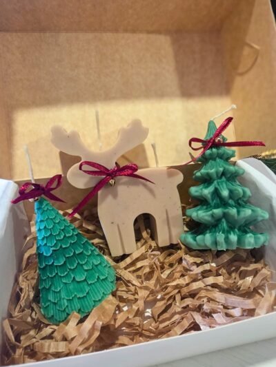 box Bosque Encantado