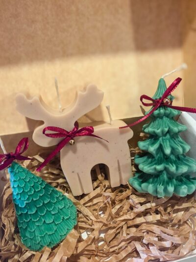 box Bosque Encantado