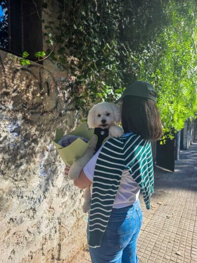 ramo lujo peonias tulipanes velas soja aromaticas